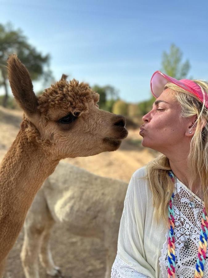 Alpaca Farm And B&B - Mama Adama Грандола Екстер'єр фото